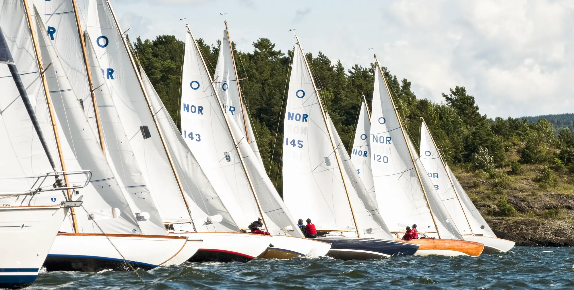 Knarrer på rekke og rad. (Foto: Erik Berg)